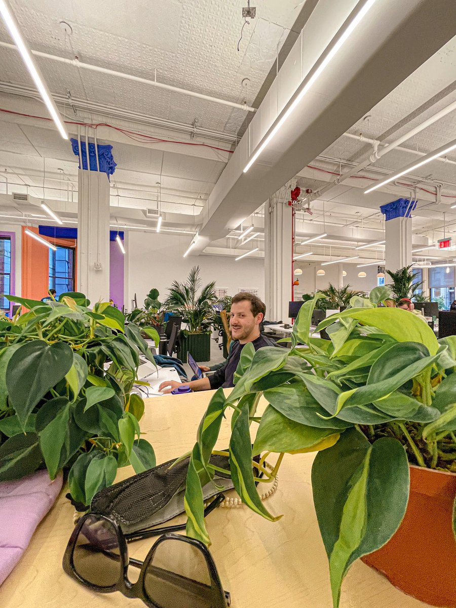 happiness is <a href="/figma/">Figma</a> moving into a new office, ordering a bunch of plants, ordering too many plants, and gifting the leftover plants to figmates 🪴🫶