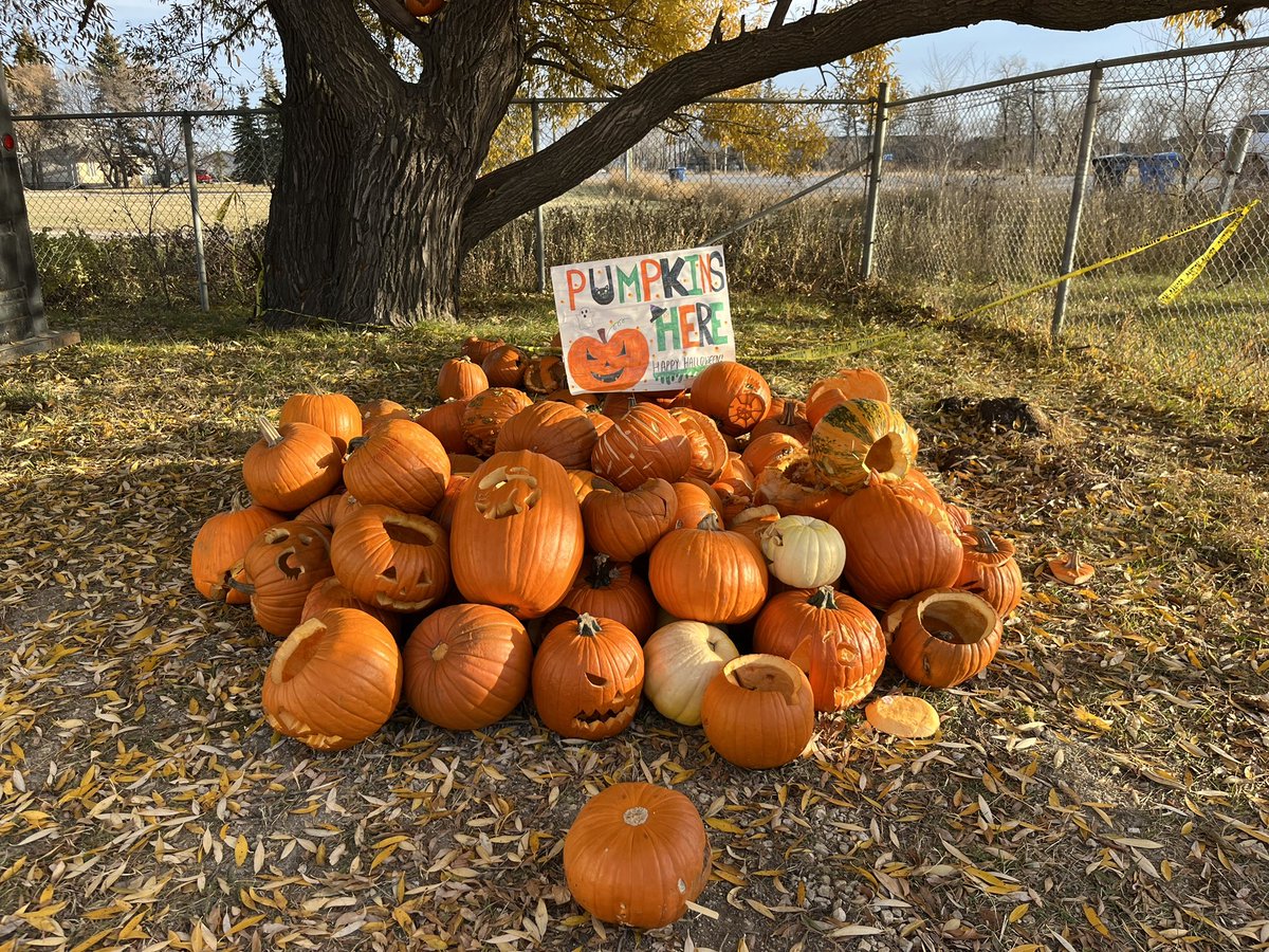 JoshLuna04's tweet photo. Wondering what to do with that pumpkin sitting on your front steps? Bring it down to West St Paul School. We are collecting pumpkins all week! 🎃🎃🎃#7oaks #compost https://t.co/OaHAjyLWAN