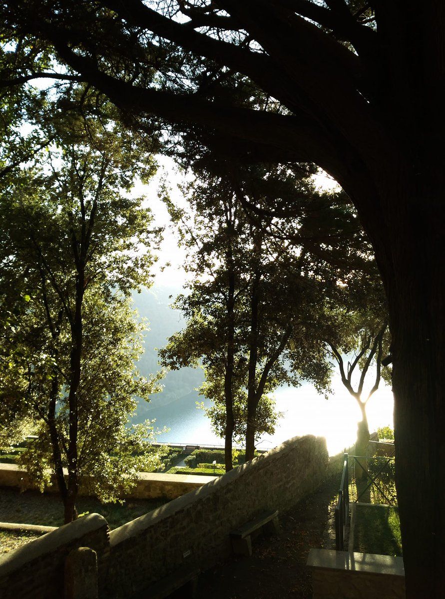 QuarantaGa's tweet photo. Meriggio novembrino sul lago di Castelgandolfo, presso #VillaDelCardinale a @rocca_di_papa https://t.co/7VXp0tqN6t
