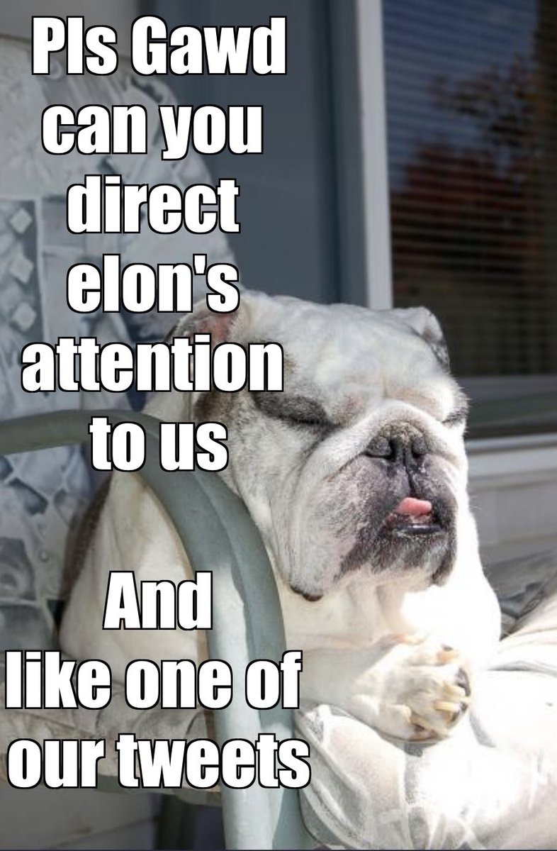 BlockchnBullies's tweet photo. @elonmusk #getElontothebullyverse These pups are on a mission to get your attention. You better like one of our tweets or we’ll send a fleet of farting dogs to your abode! https://t.co/3tmQwUx2KP