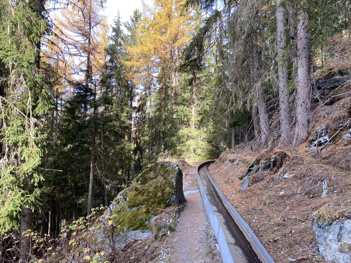 It’s the time of year for woodland walks. Today I went looking for old larches, and followed a few bisses.