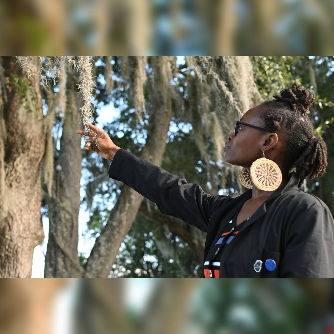 Happy Wellness Wednesday 

In Gullah Geechee Hoodoo culture, 
the Spanish Moss plant is viewed as medicine. It's been used to treat high blood pressure, asthma and other illnesses 

 #plantpower #mamaearth