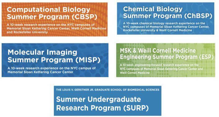 MSK ScienceEducation tweet media