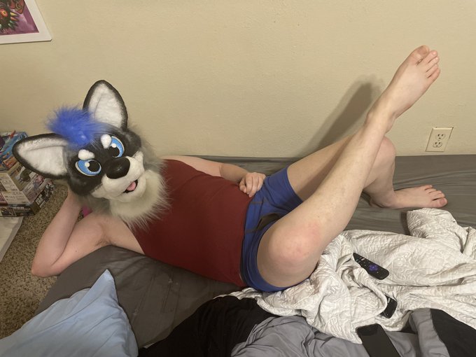 New fursuit! https://t.co/nOyRx5Agu2<a href="/tag/newprofilepic"class="tags"><span>#newprofilepic</span></a>