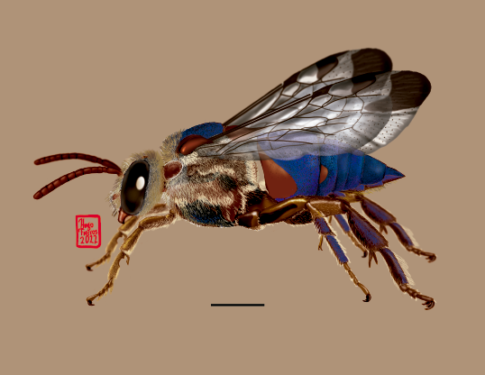 del boceto digitalizado al resultado final