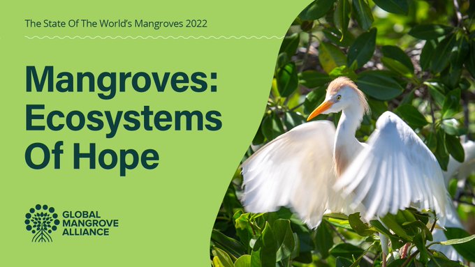 Mangroves are critical ecosystems in tackling the climate crisis 

Learn more about these important forests, how to halt loss, implement restoration and conservation practices in The State of the World’s #Mangroves 2022 Report  from <a href="/Mangroves/">Global Mangrove Alliance</a>

Download
mangrovealliance.org/mangrove-fores…