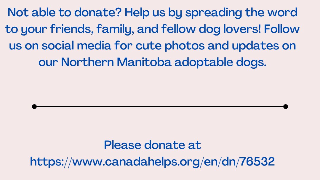 There is an enormous overpopulation problem in northern Manitoba. Many dogs are running loose, abandoned or neglected. There are injured dogs and no vet clinic nearby. The community doesn't have the resources to spay/neuter or care for their dogs

canadahelps.org/en/dn/76532