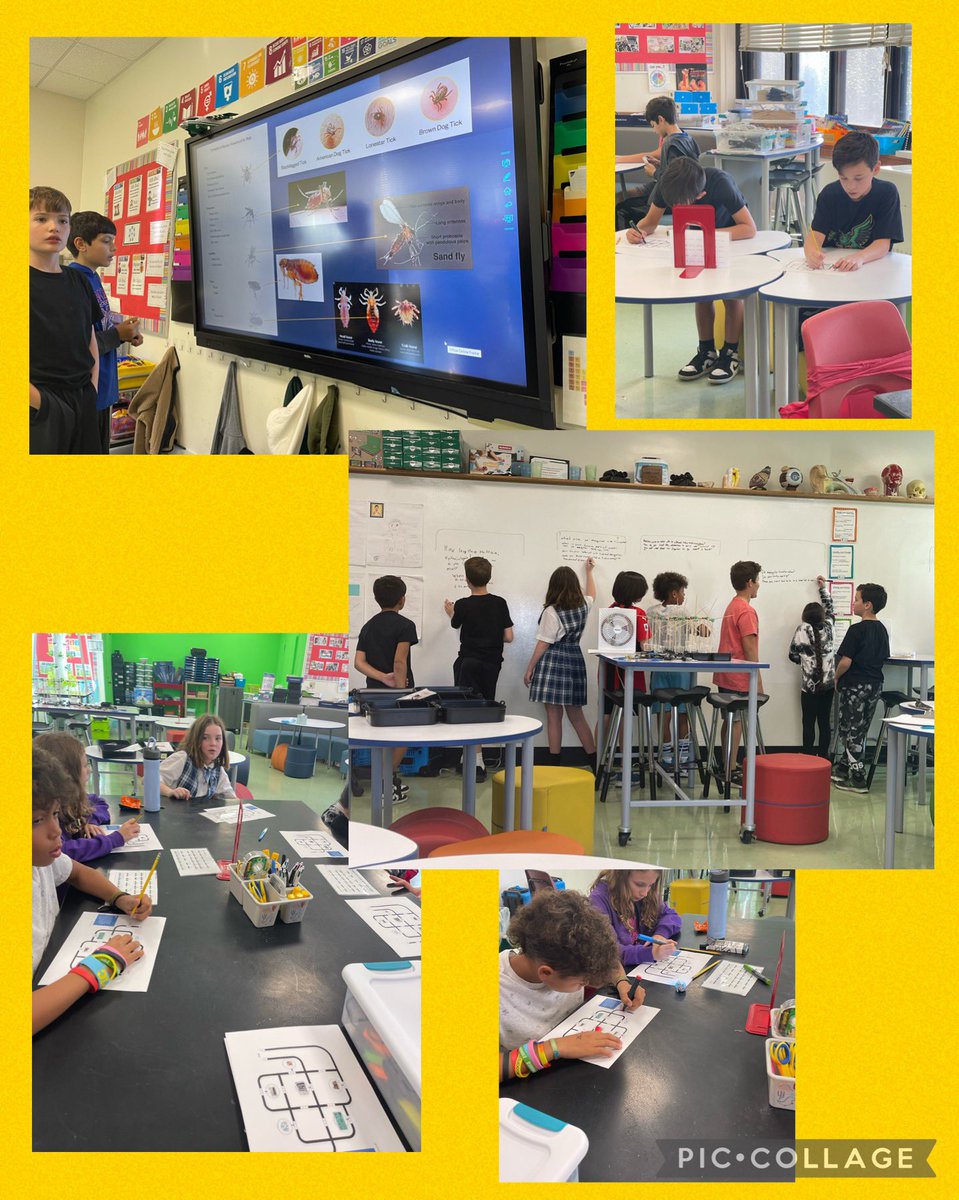 #giveahootfor our voyagers <a href="/teamteichman/">Corinne Teichman</a> <a href="/LynFlightSchool/">LynFlightSchool</a>