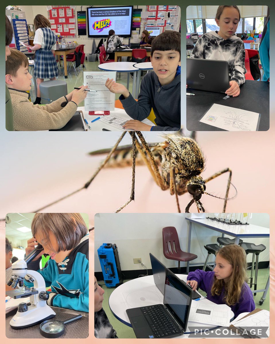 LynFlightSchool's tweet photo. #giveahootfor our voyagers @teamteichman @LynFlightSchool https://t.co/M4rRsPUqjw