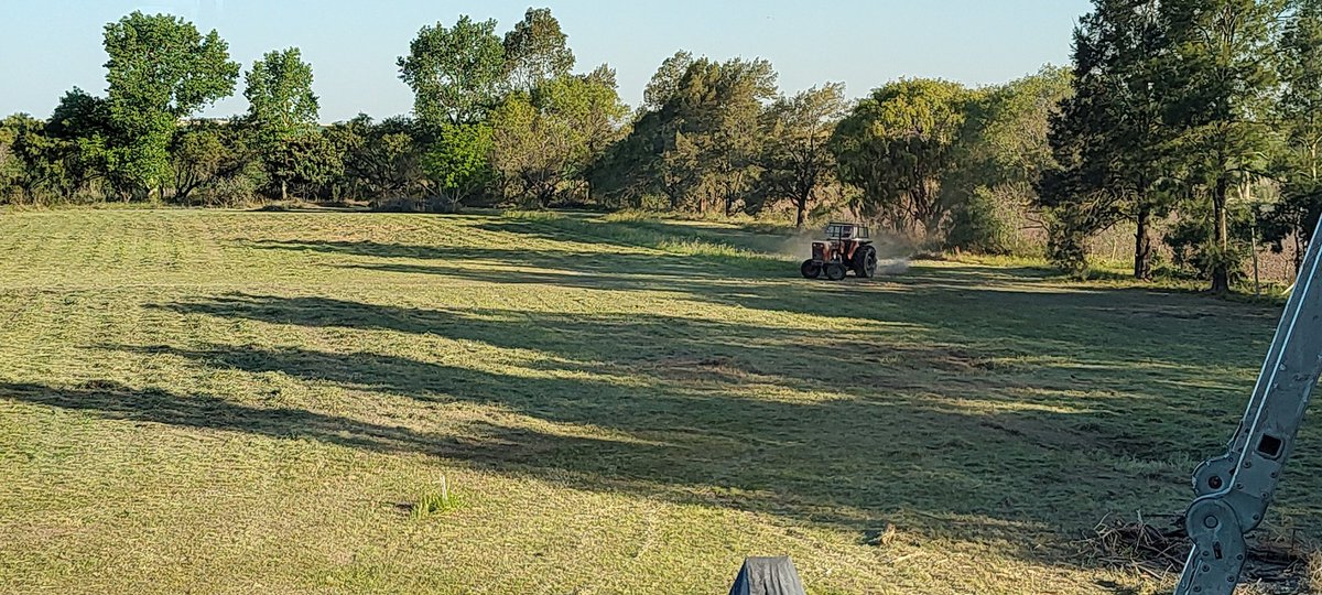 Hoy viene el jardinero