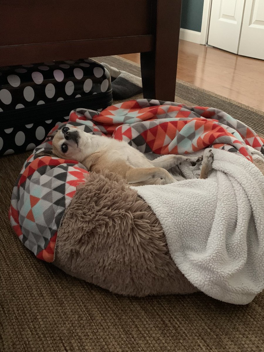 Adrienne Moherek tweet media