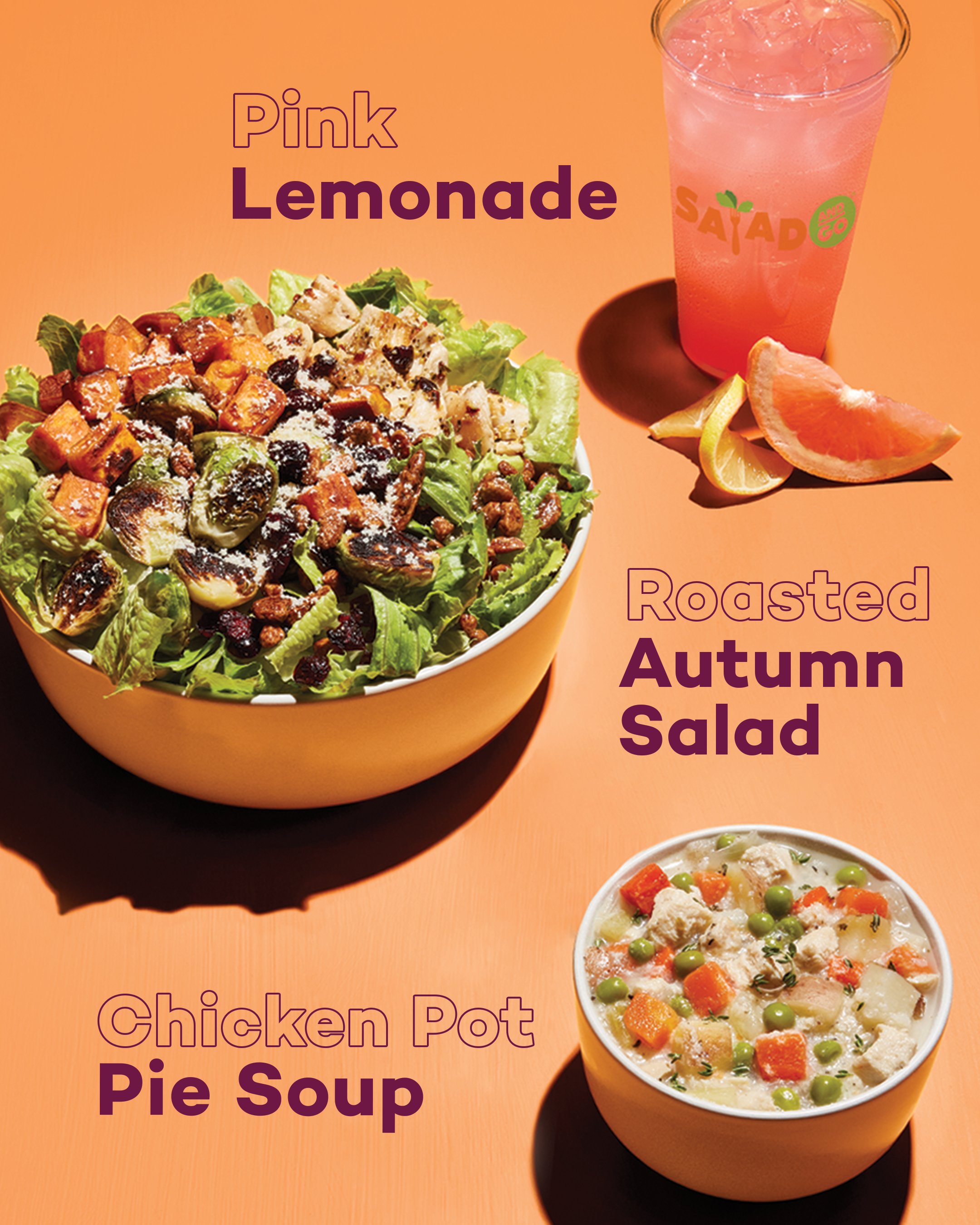 Salad n go menu deals
