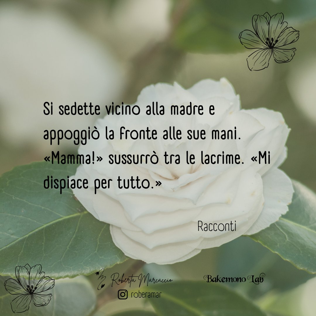 roberamar's tweet photo. https://t.co/oeDLKF3g04