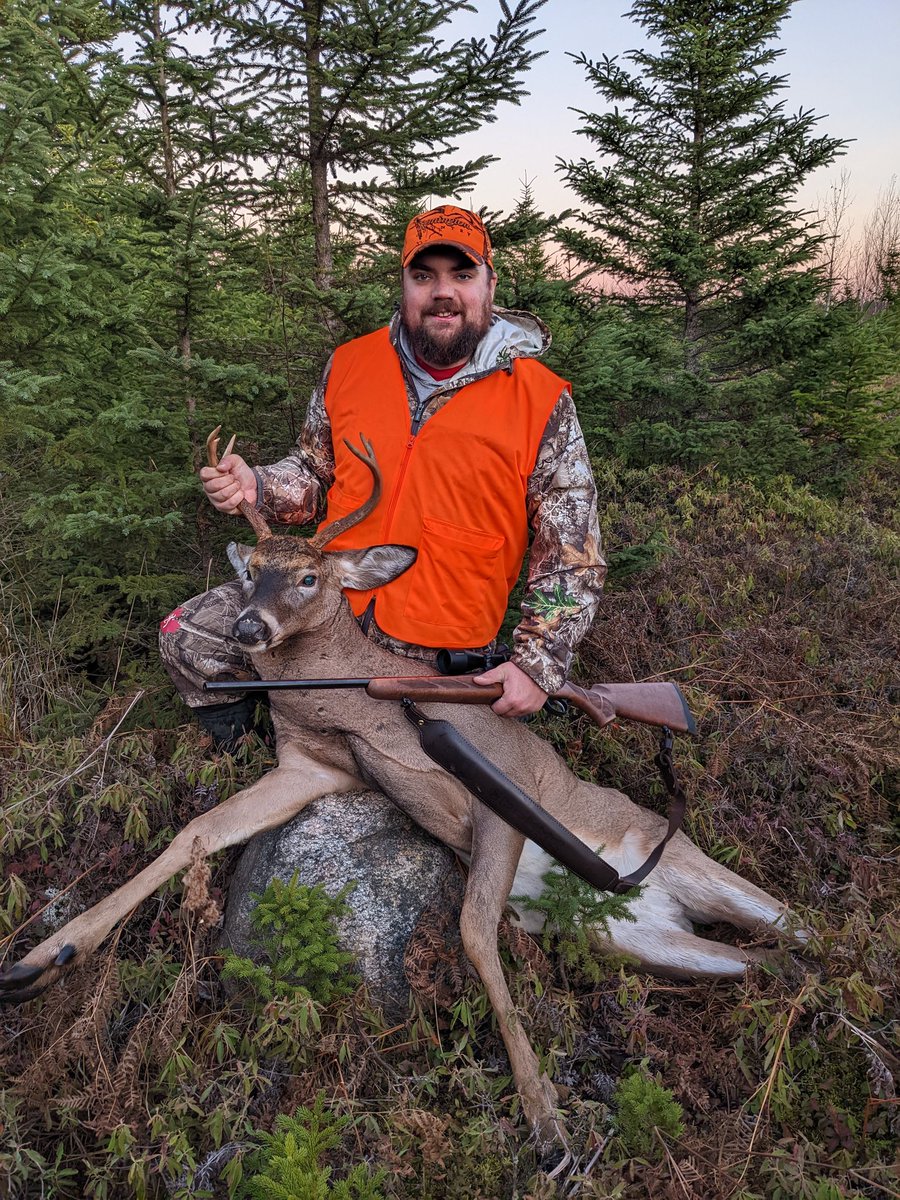 Mansfield tweet media