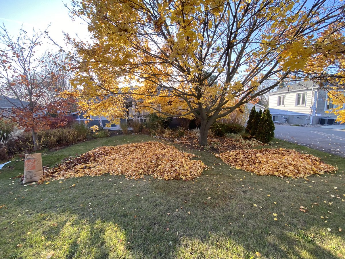 Ryan_Hunsinger's tweet photo. I would not recommend Landscaping by Dubas. Just a few weeks ago these leafs looked great, now they’re just a big pile of garbage. TML🍁 https://t.co/uzXgkZiT9R