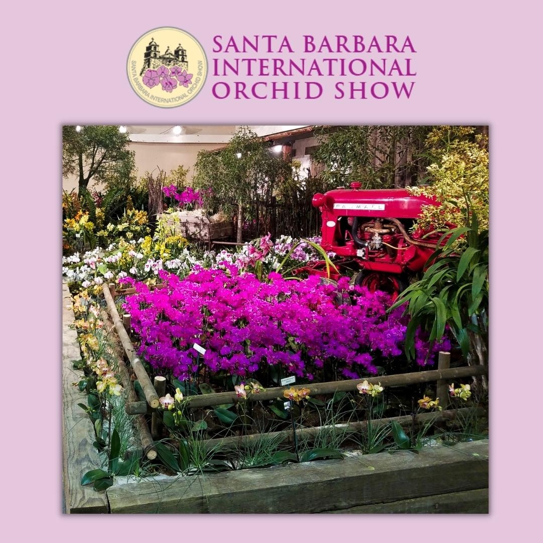 SBOrchidShow's tweet photo. A look back at the 2019 Santa Barbara International Show. Looking forward to bringing back these beautiful displays in 2023! https://t.co/xKvcjC1nWR 
#floralart #flowerstagram #floral #flowers #blooms https://t.co/DngiBlnqhE