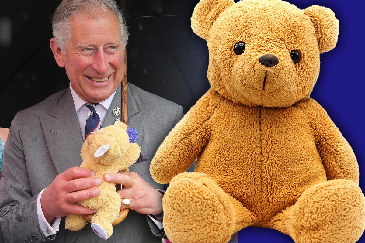 King Charles had a valet for his teddy bear — when he was in his 40s: book trib.al/xboSSpw