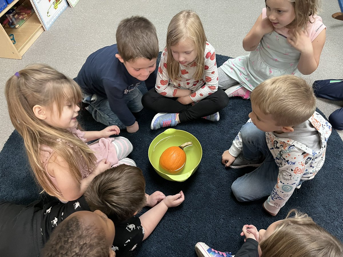 CheriZweng's tweet photo. In DK we have been doing a lot with pumpkins in math and science. Students discovered that pumpkins float, measured how tall their pumpkin was, discussed the shape and counted seeds using a ten frame with one to one correspondence. #mylsps #dklsps https://t.co/NVa0RQjDkB