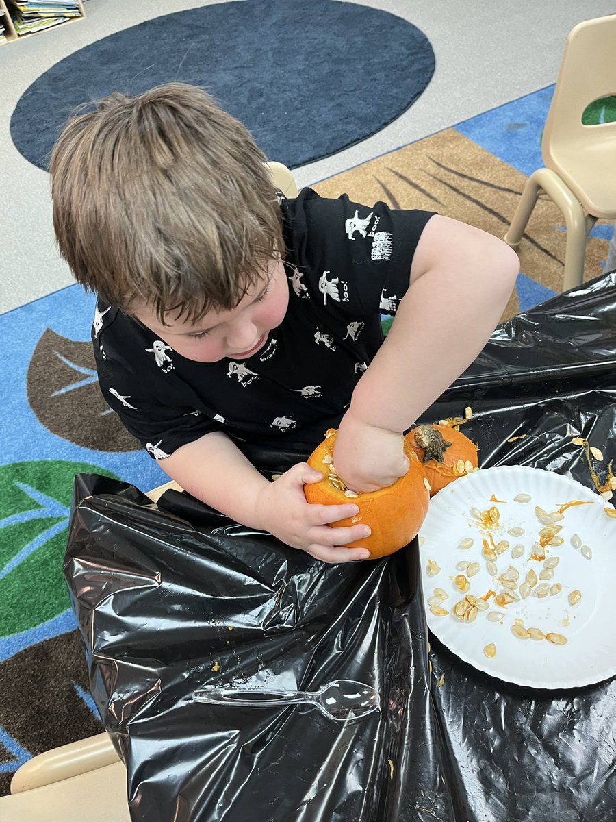 CheriZweng's tweet photo. In DK we have been doing a lot with pumpkins in math and science. Students discovered that pumpkins float, measured how tall their pumpkin was, discussed the shape and counted seeds using a ten frame with one to one correspondence. #mylsps #dklsps https://t.co/NVa0RQjDkB