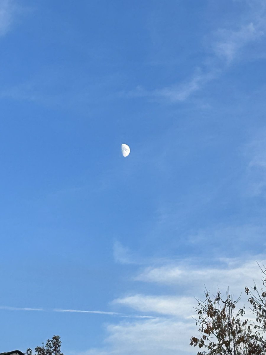 Reinald43723579's tweet photo. Nice pic of the Moon before it gets dark. https://t.co/zJXYhVq3M4