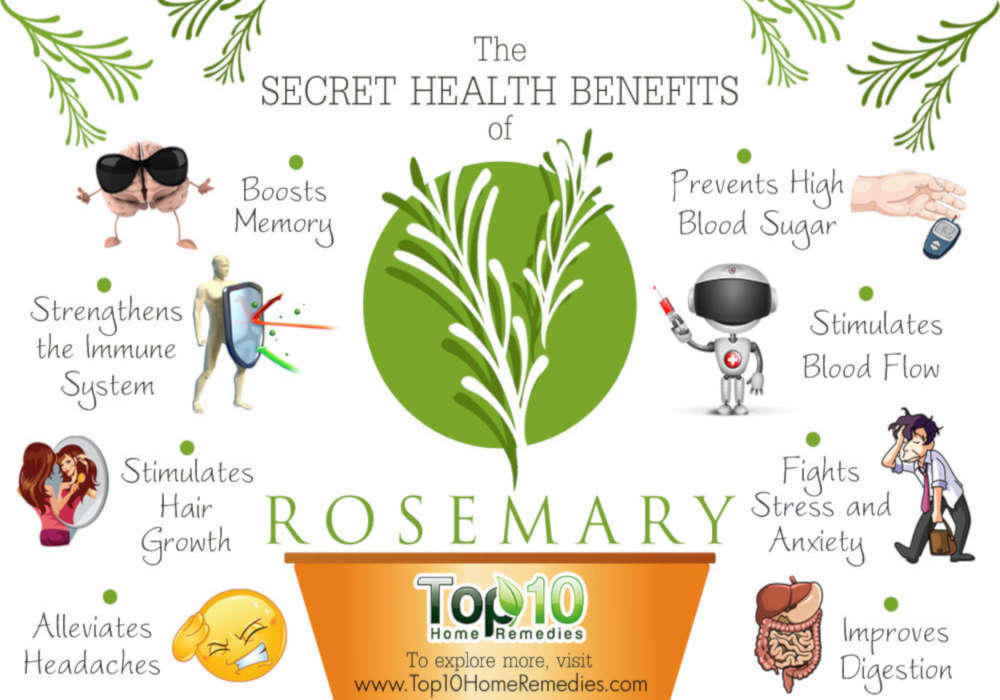 10 Secret Health Benefits of Rosemary #rosemary #health
Rosemary has potent antioxidant, antiseptic, anti-cancer, anti-inflammatory, and disinfectant properties.It also contains several vitamins and minerals,.. bit.ly/2rGlS7P