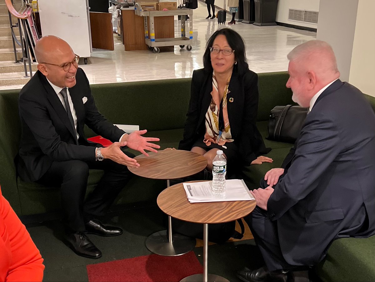 HeadUNDRR's tweet photo. It was my honour to brief the Group of Friends of #DRR at the Ambassadorial level today and hear from @UN_PGA as we look forward to the MTR of the #SendaiFramework. 

Congrats to @indonesiaunny and @AustraliaUN on your appointment as co-facilitators for the political declaration! https://t.co/JXEM7XbZeM