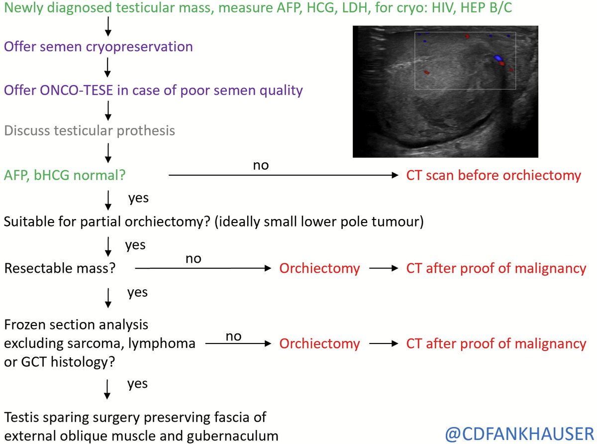 how a simple institutional work-flow saved a young man from an unnecessary orchiectomy and ionizing radiation of a CT scan @AdityaBagrodia @siadaneshmand @AmirSalmasi @Hoomandjaladat @Dr_Andrology @MaartenAlbersen @RichMatulewicz @Silke_Gillessen @OingC1 @ArieUrology