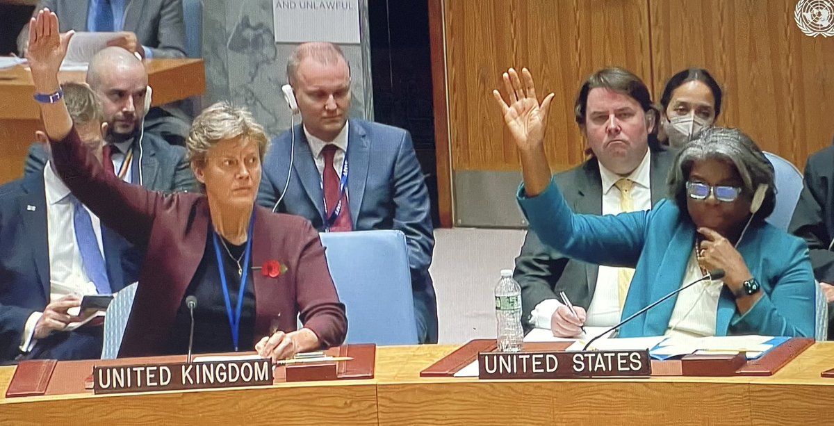 philipcattle's tweet photo. The UN Security Council just rejected 🇷🇺’s draft resolution spreading bioweapons-related disinformation about 🇺🇸 and 🇺🇦. Good. Enough time wasted. Now back to addressing the real issue: Russia’s continued brutal aggression against #Ukraine https://t.co/Vlf4FSx5lI