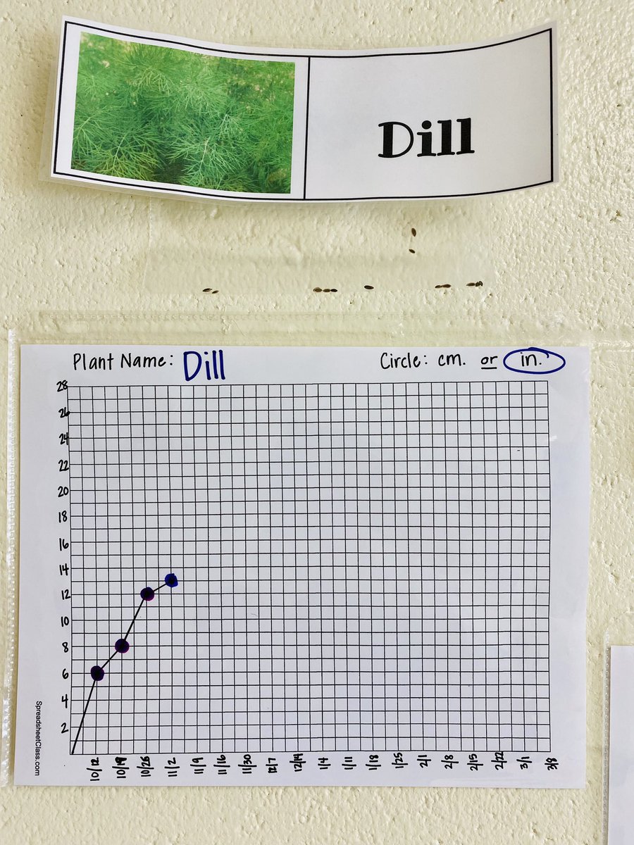 🅼🆁🆂 🅴🅻🅳🅴🆁 tweet media