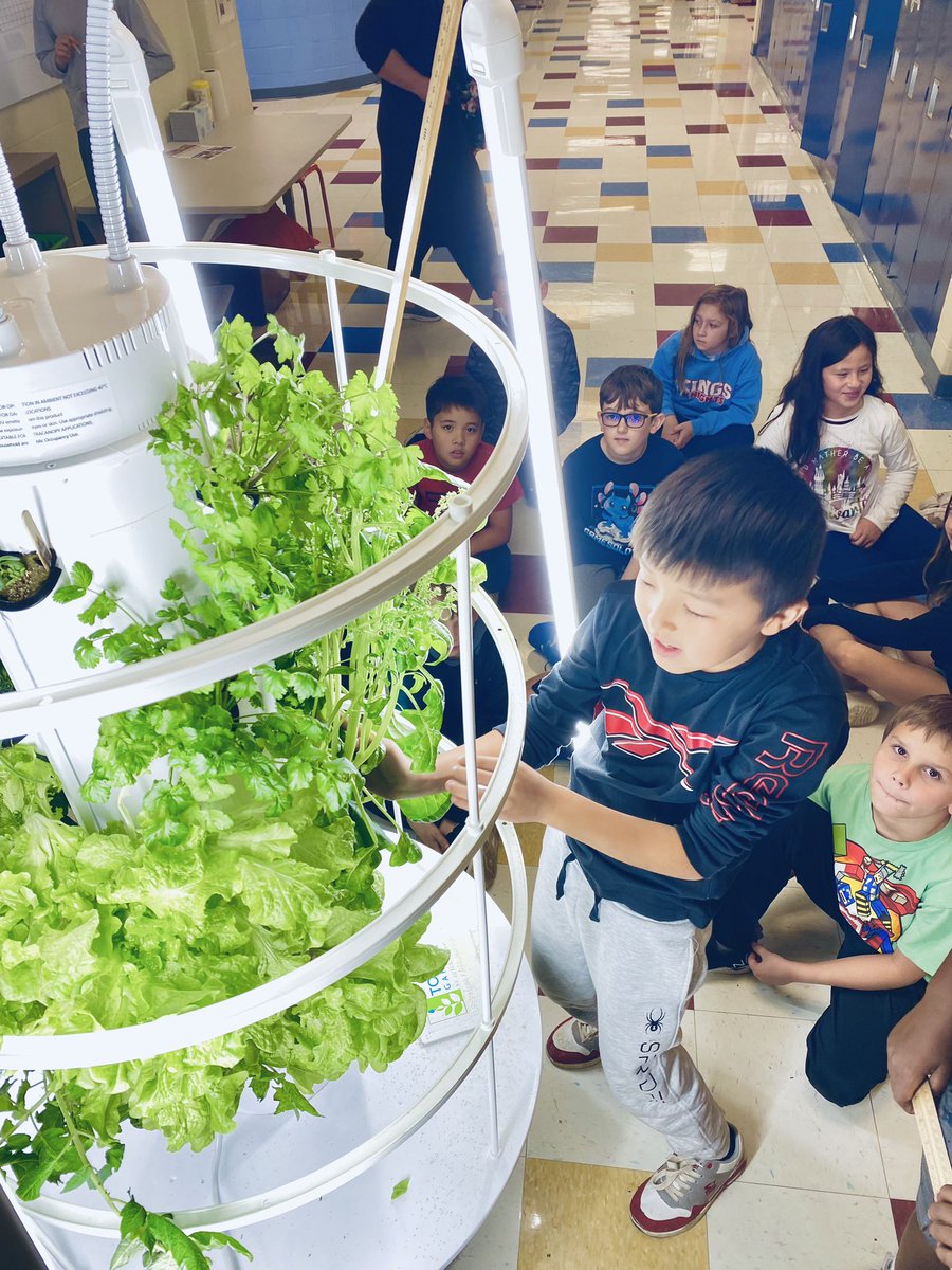 🅼🆁🆂 🅴🅻🅳🅴🆁 tweet media