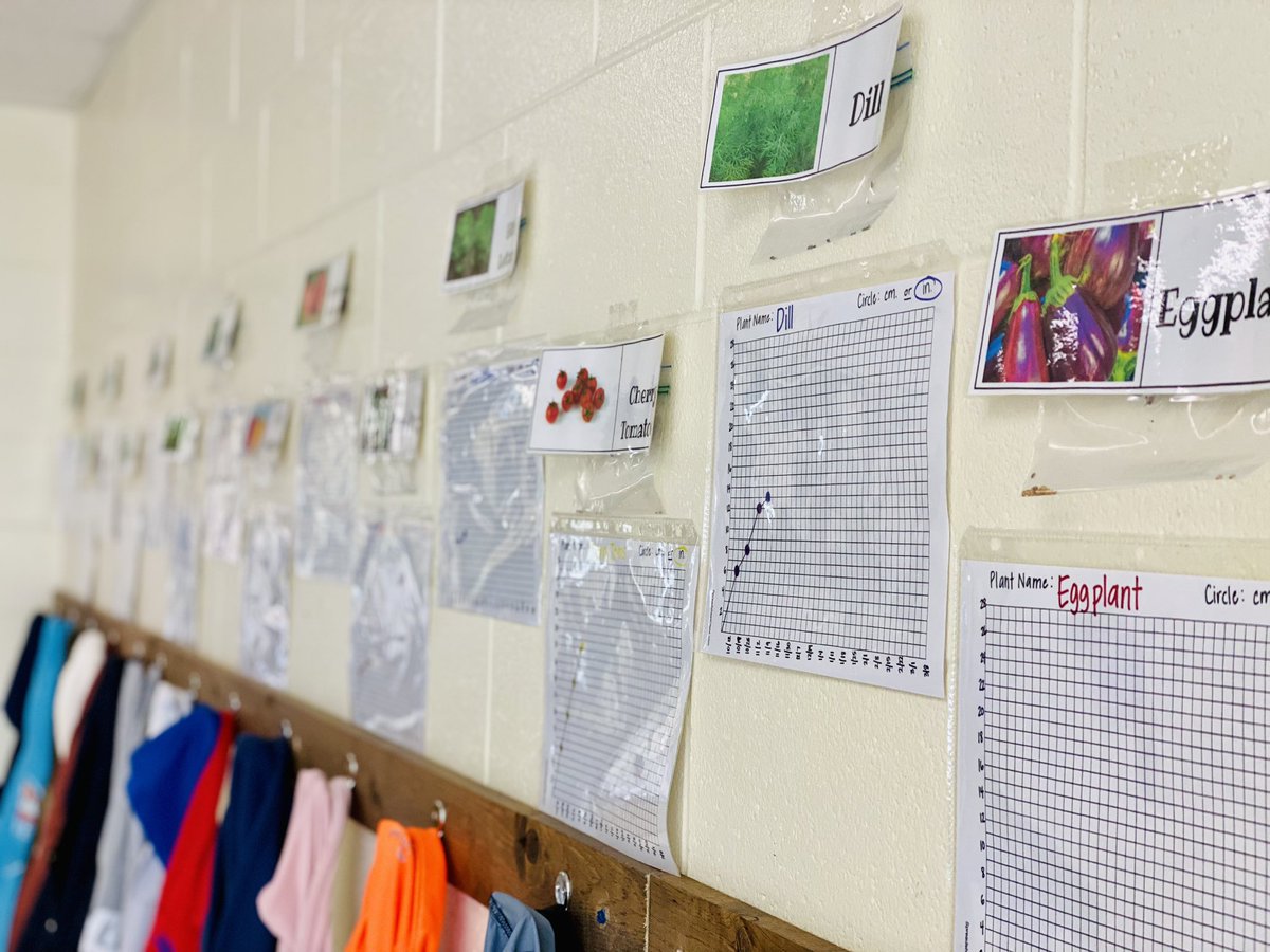 🅼🆁🆂 🅴🅻🅳🅴🆁 tweet media