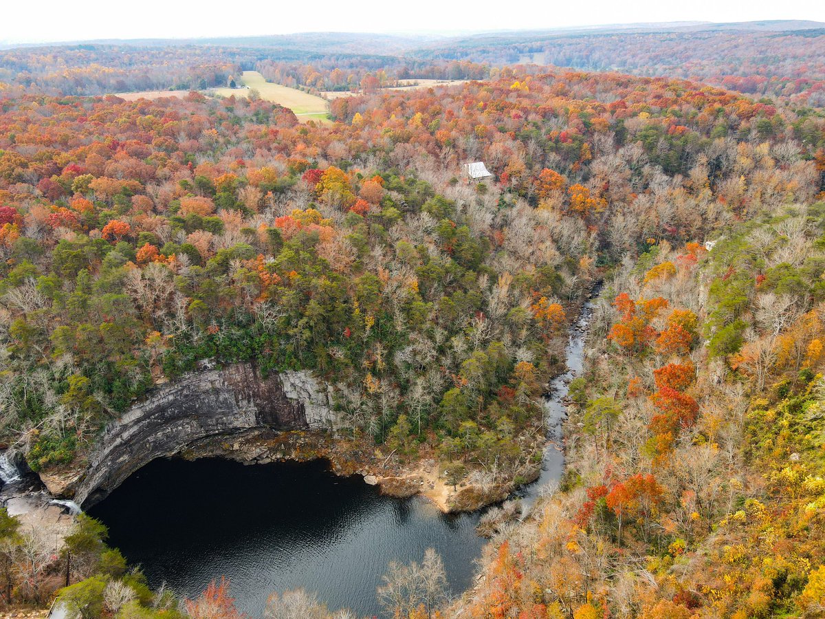 ImagesWarrior's tweet photo. Fall in Alabama🍁💯 https://t.co/5eMzYpMrvM