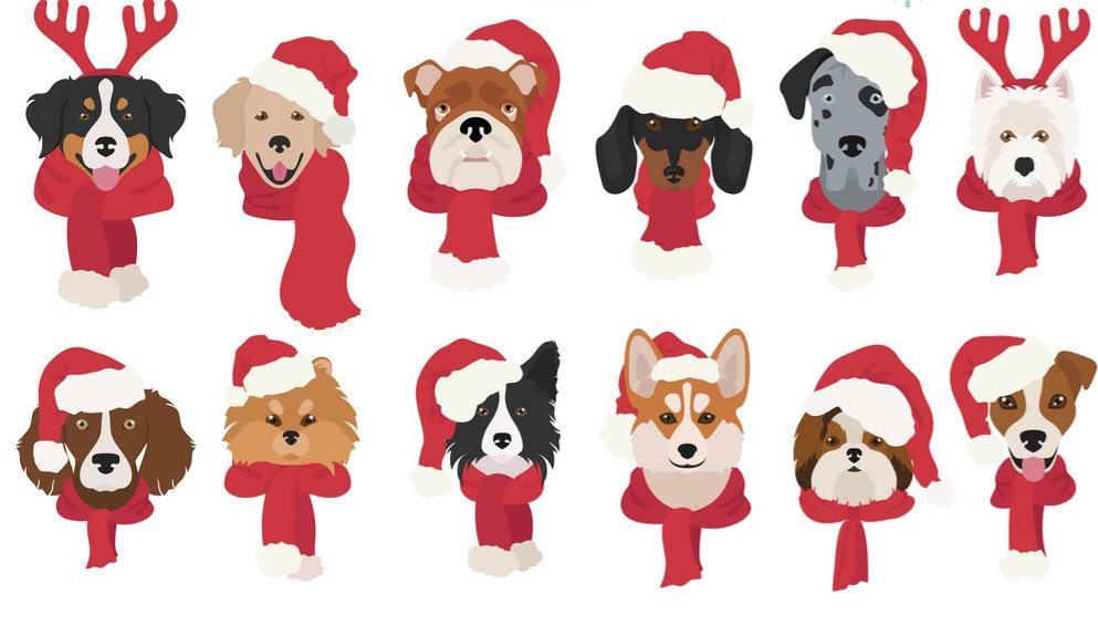 Back by popular demand! 🥳 Our '12 Dogs of Christmas' Virtual All Breed Dog Show will be a major part of our Big Give Christmas Campaign! Visit out Facebook group for more details 👇 facebook.com/groups/2235126…