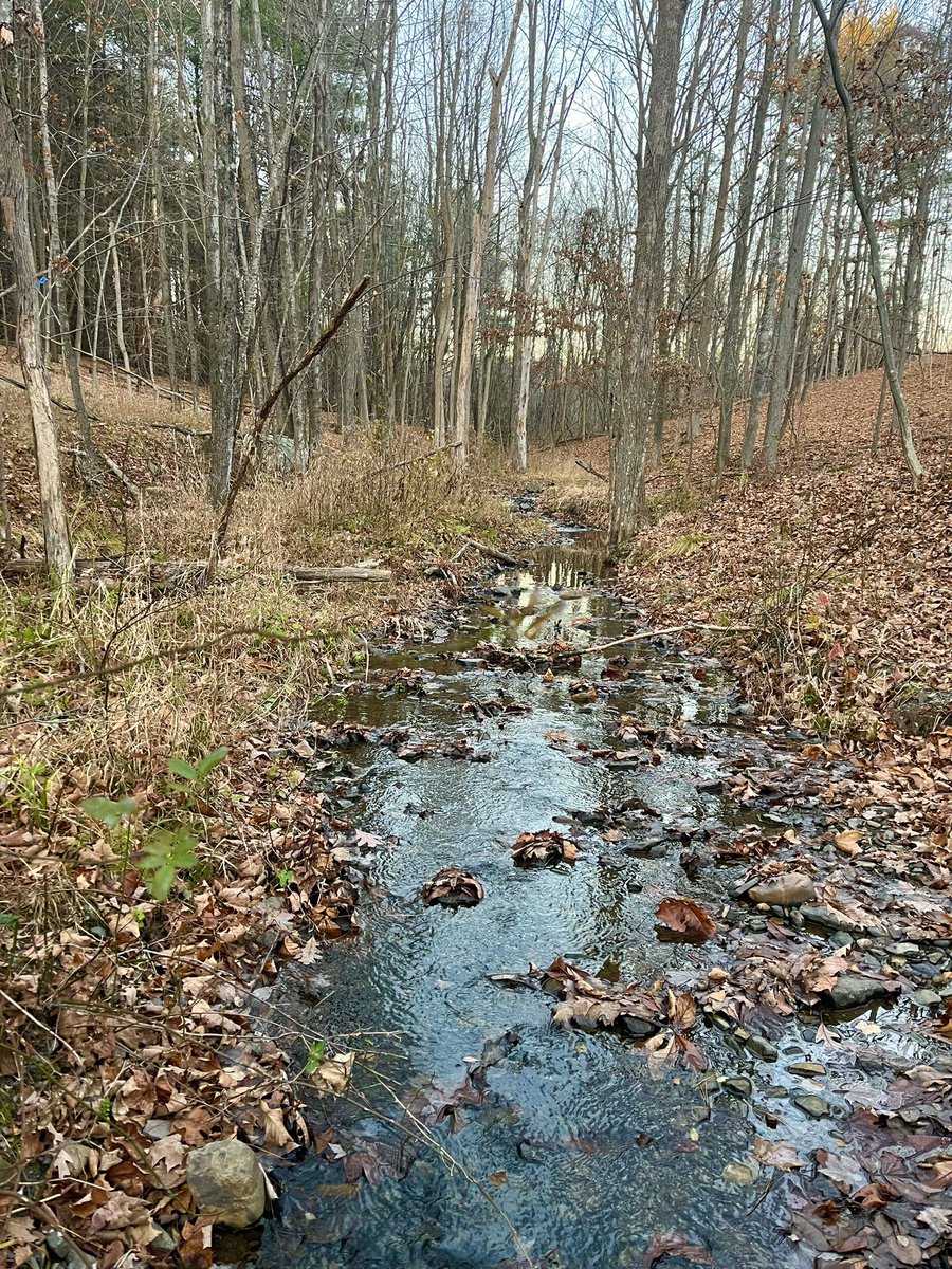 Real progress by our Nassau team at our 6th public access property, Wachoosik Park. Discoveries everywhere and Calico Brook is beautiful on a fall evening.