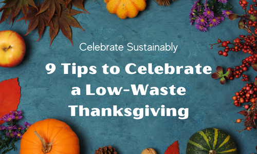 Visit our Thanksgiving page for some tips to help make #tzwholiday a bit more #sustainable. towardzerowaste.org/zero-waste-hol…