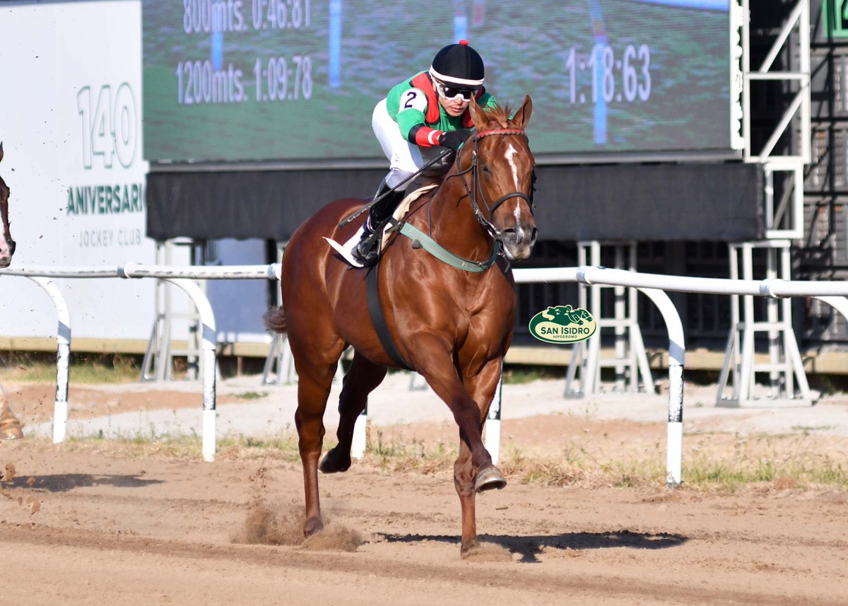 HipodromoSI's tweet photo. ✅ En el @HipodromoSI se disputó el #ClásicoOrange (L - 1400 metros), donde se impuso #GoChromeGo (California Chrome), del #StudFriends, entrenado por #NicolásMartínFerro y dirigido por #FranciscoLeandro. https://t.co/7PgupMF0i2