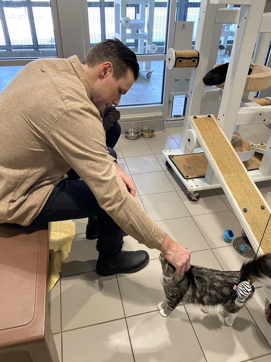 x - Cleveland Monsters (@monstershockey) on Twitter photo Don’t worry - the <a href="/ClevelandAPL/">Cleveland APL</a> cats got some love too 😻
Heidi & <a href="/BrendanGaunce16/">Brendan Gaunce</a> got to meet with the very lovey and social Ellie who is also up for adoption!
Learn more about Ellie: bit.ly/CLEVELANDAPLEL… Don’t worry - the <a href="/ClevelandAPL/">Cleveland APL</a> cats got some love too 😻
Heidi & <a href="/BrendanGaunce16/">Brendan Gaunce</a> got to meet with the very lovey and social Ellie who is also up for adoption!
Learn more about Ellie: bit.ly/CLEVELANDAPLEL…