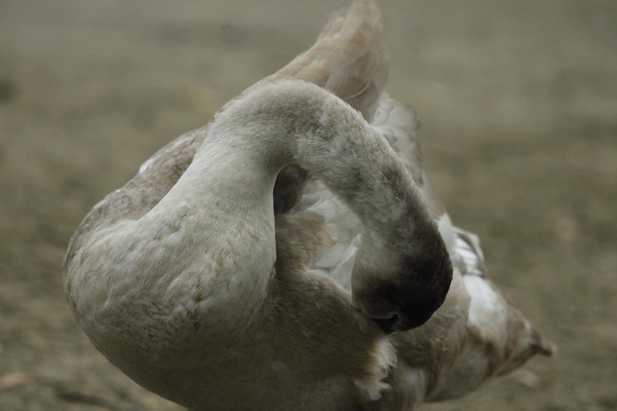Some photos I took today at Pennington Flash Nature Reserve. Happy with my progress so far, since I first picked up a camera in September 😁