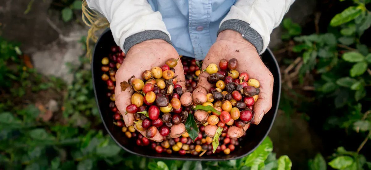 ResponsiblyD's tweet photo. Did you know that October was #FairTradeMonth? It may be a new page on the calendar, but it’s always a good time to support @fairtrademarkus businesses. Learn more about the certification: https://t.co/kNDBC3hxP7 #FairTradeCertified #EthicalBusiness #BetterCapitalism. https://t.co/Q92AwOwGg2
