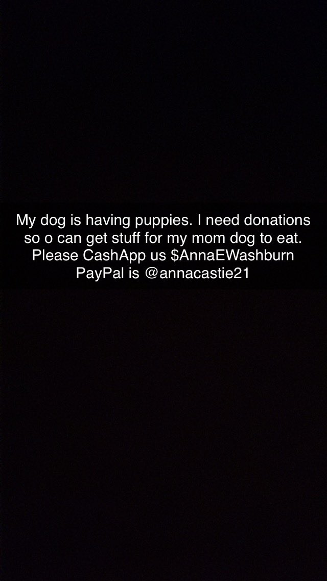 Wolf_Network_'s tweet photo. Need donations #donate #PayPal #cashappme #doginlabor #puppies https://t.co/NWj1bxq2lj