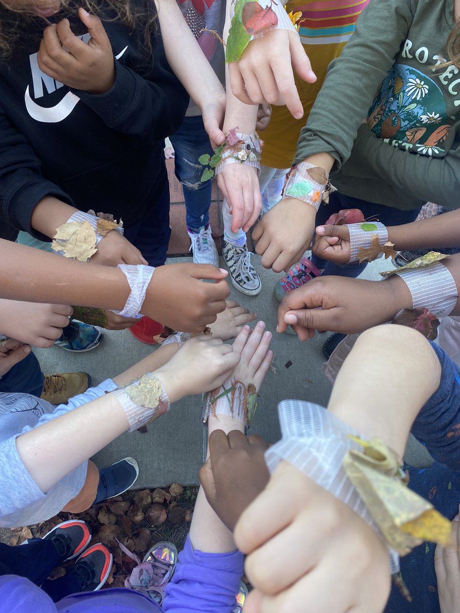 Nature walks always turn into some of the very best learning opportunities! We loved collecting (fallen) leaves, seeds and plants to make observations on in the classroom. 🍂