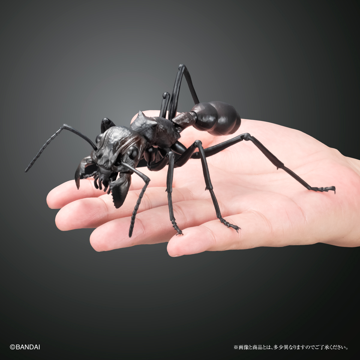 お知らせ】 ／ #いきもの大図鑑 あり （税込500円） ＼ #ガシャポン
