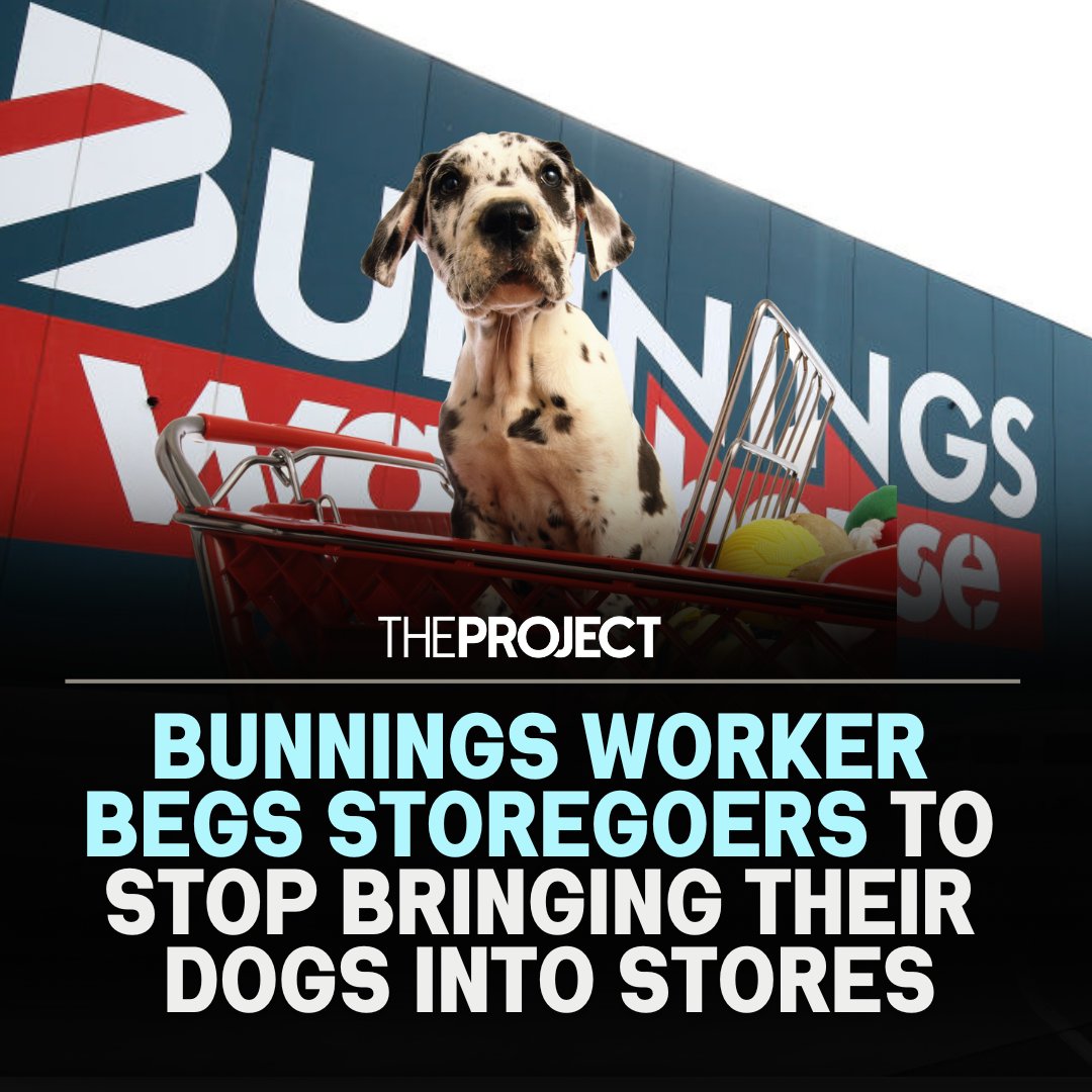 The Project on Twitter "A worker at Bunnings has asked to ban dog