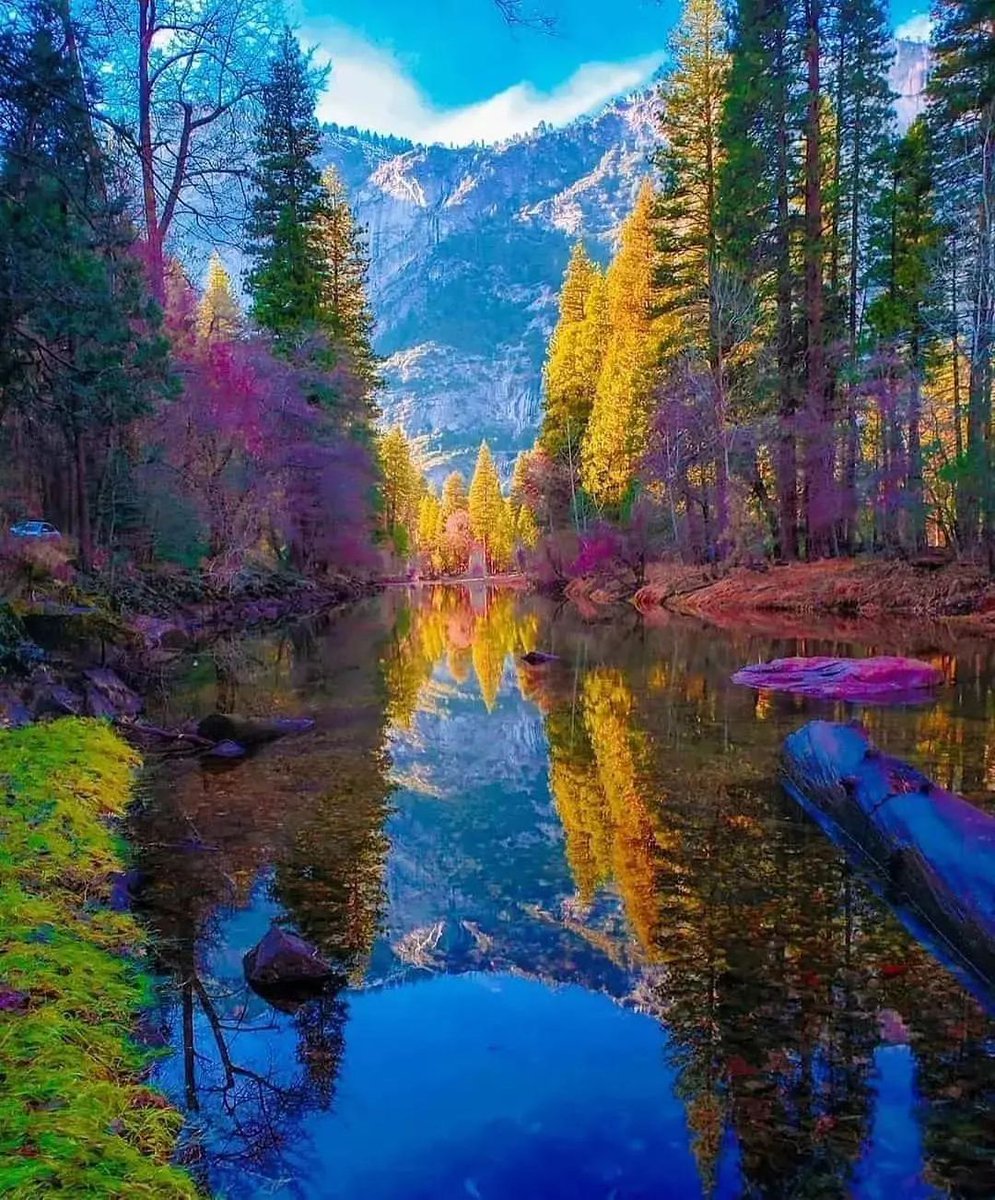 #NaturePhotography