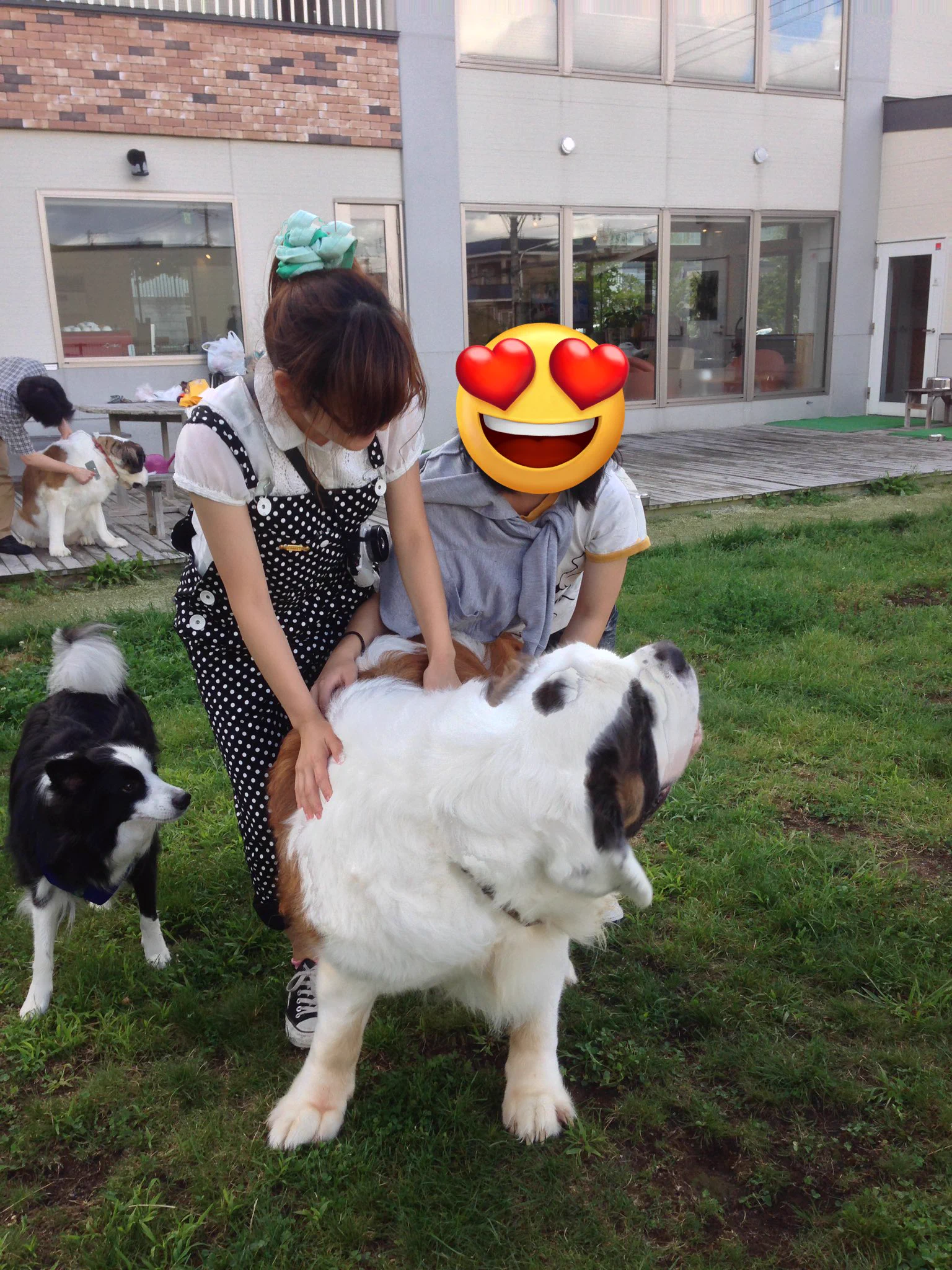@kishidog 2013年にドッグラン遊びに行きました😍そんなサービスあるとは知らず
大興奮でした😍うちの犬はびびっていました笑 