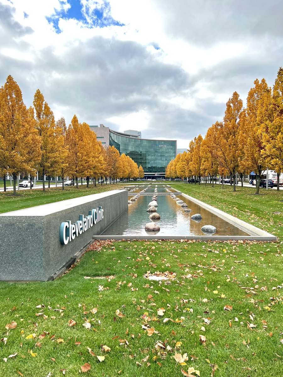 Sara Saliba MD, RD, LDN (@sarasalibamdrd) on Twitter photo When a view that you see every day still manages to stop you in your tracks 👣🍁 #beauty #nature #autumn #fall #medicine #hospital #clevelandclinic #love #stunning #beautiful #blessed #grateful #MedTwitter <a href="/CCF_IMCHIEFS/">Cleveland Clinic IM</a> <a href="/ClevelandClinic/">Cleveland Clinic</a> <a href="/Mud_Fud/">Richard M. Wardrop III, MD, PhD, MACP, SFHM, FAAP</a> <a href="/CleClinicNews/">ClevelandClinicNews</a> <a href="/CLENeurons/">Cleveland Clinic Neurology Residents</a> When a view that you see every day still manages to stop you in your tracks 👣🍁 #beauty #nature #autumn #fall #medicine #hospital #clevelandclinic #love #stunning #beautiful #blessed #grateful #MedTwitter <a href="/CCF_IMCHIEFS/">Cleveland Clinic IM</a> <a href="/ClevelandClinic/">Cleveland Clinic</a> <a href="/Mud_Fud/">Richard M. Wardrop III, MD, PhD, MACP, SFHM, FAAP</a> <a href="/CleClinicNews/">ClevelandClinicNews</a> <a href="/CLENeurons/">Cleveland Clinic Neurology Residents</a>