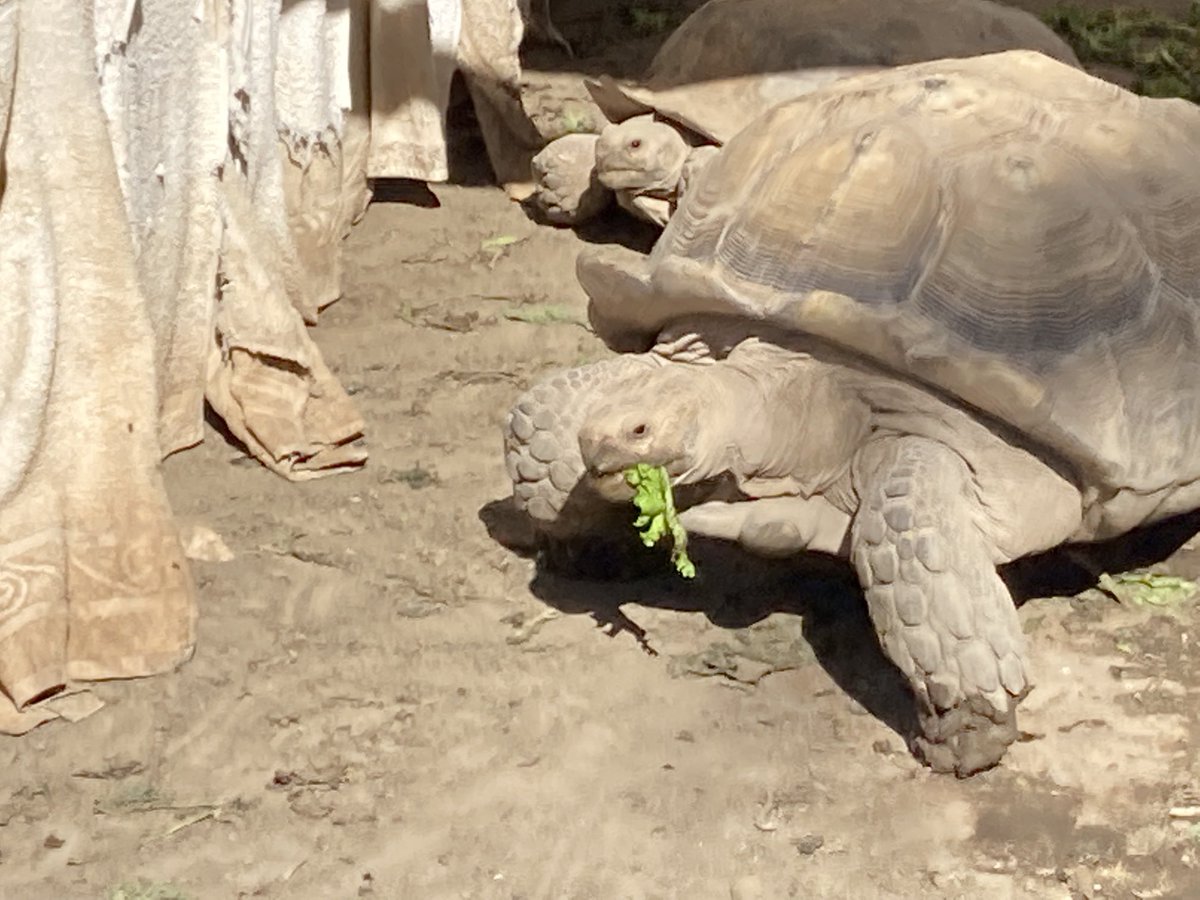 Richard P. Rodriguez tweet media