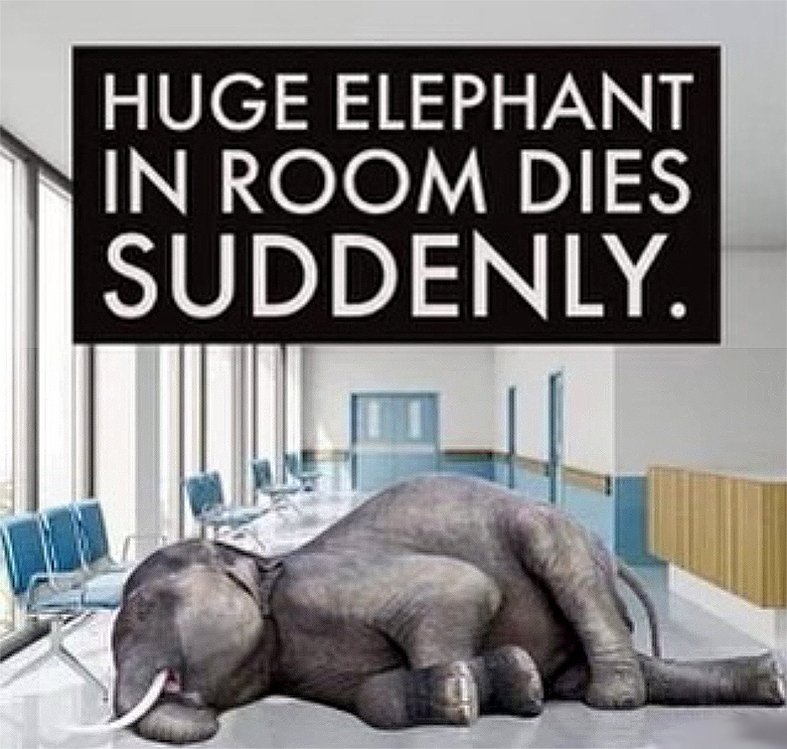 RubberBones_'s tweet image. 