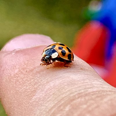 goldsounds's tweet photo. #NewProfilePic https://t.co/F5LiZKBPJV
