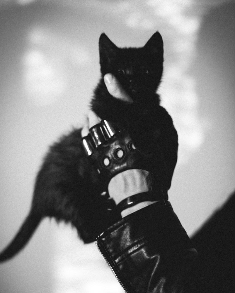 In good hands 🐾
.
Pic by @twink6
#fosterlife #tnr #luxepaws